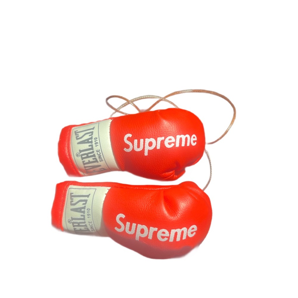 Supreme Red Everlast Boxing Gloves